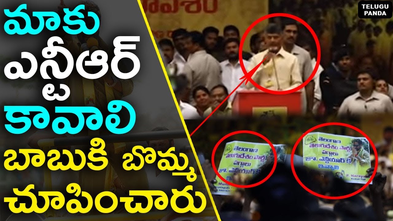 TTDP Cadre Demand Jr NTR Leadership | Jr.NTR As The Telangana TDP CM Candidate | Telugu Panda