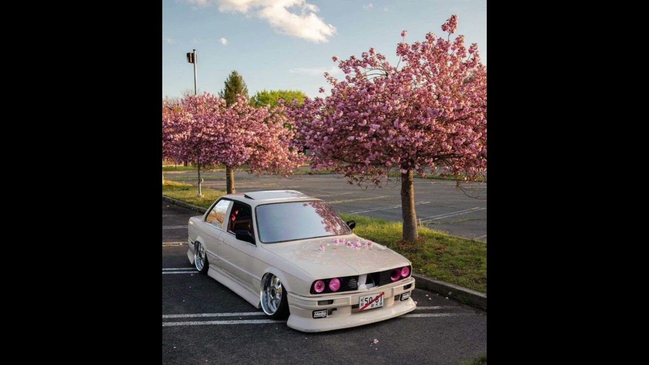 [FREE] Sainte x Ashbeck x ARTAN | Type Beat - Step