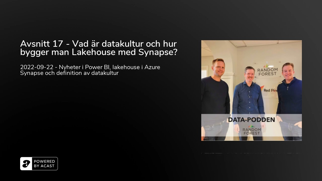 Avsnitt 17 - Vad &auml;r datakultur och hur bygger man Lakehouse med Synapse?