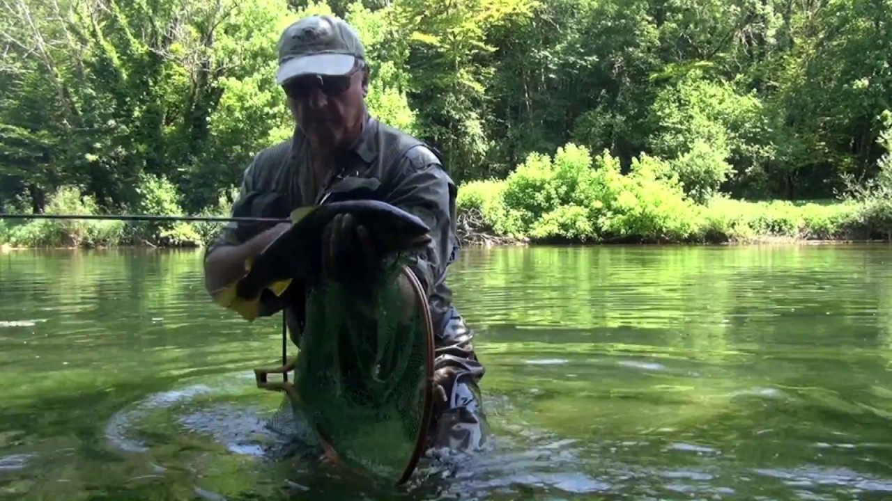 La Loue, pêche en NAV