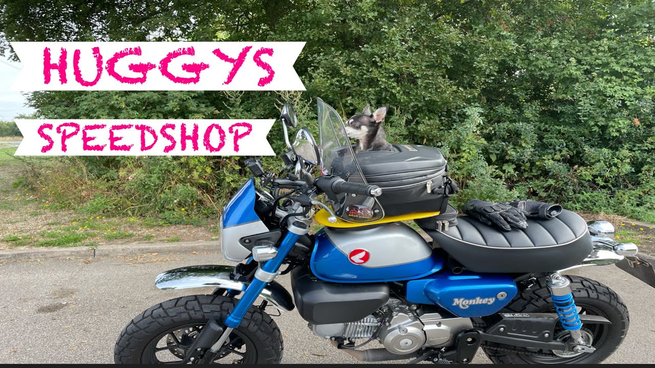 2022 HONDA MONKEY ONE MAN AND HIS DOG