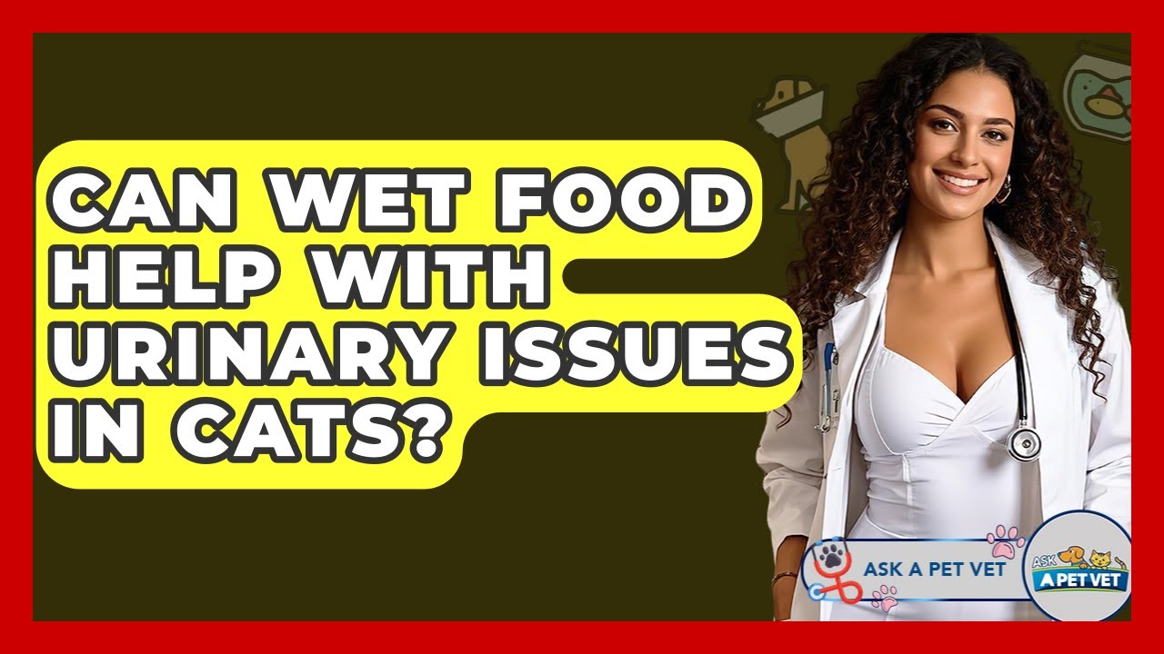 Can Wet Food Help With Urinary Issues In Cats? - Ask A Pet Vet