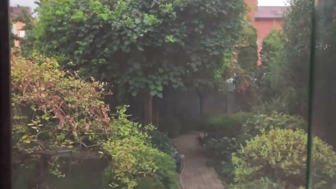 Солнцезащитный экран.