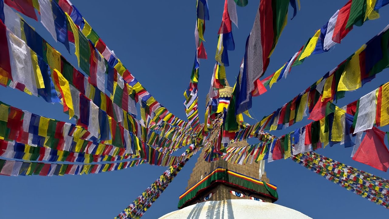Visiting strawberry farm.🍓🍓