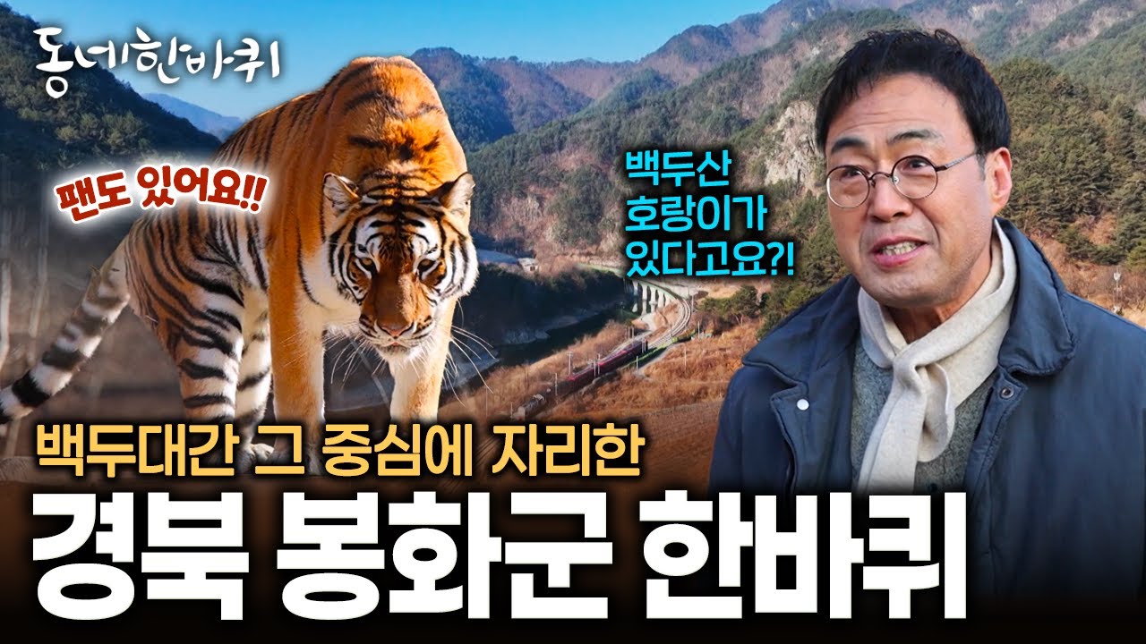 빠르게 지나가는 세상 속 묵묵히 제 자리를 지켜며 사는 사람들의 이야기 | KBS 260117 방송