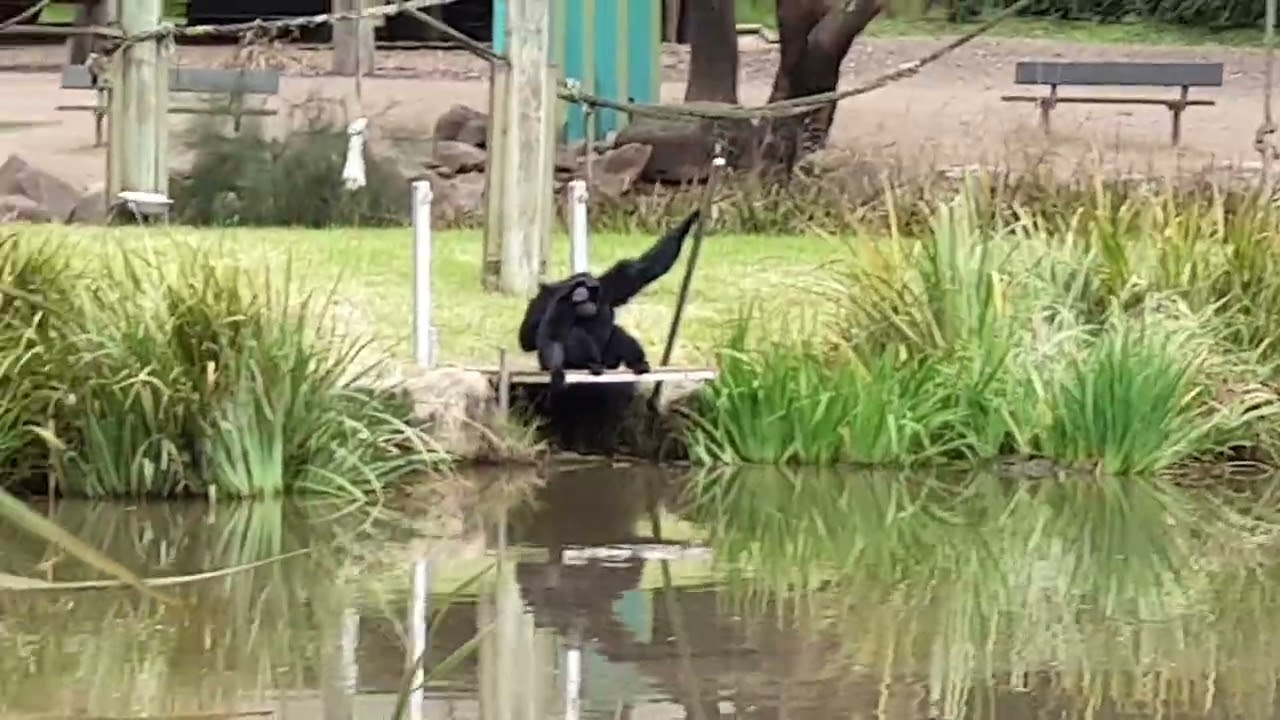 Taronga Western Plain Zoo @ Dubbo 8 Jul 2022