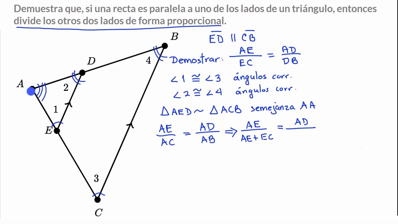 Recta paralela a uno de los lados del triángulo divide proporcionalmente los otros lados