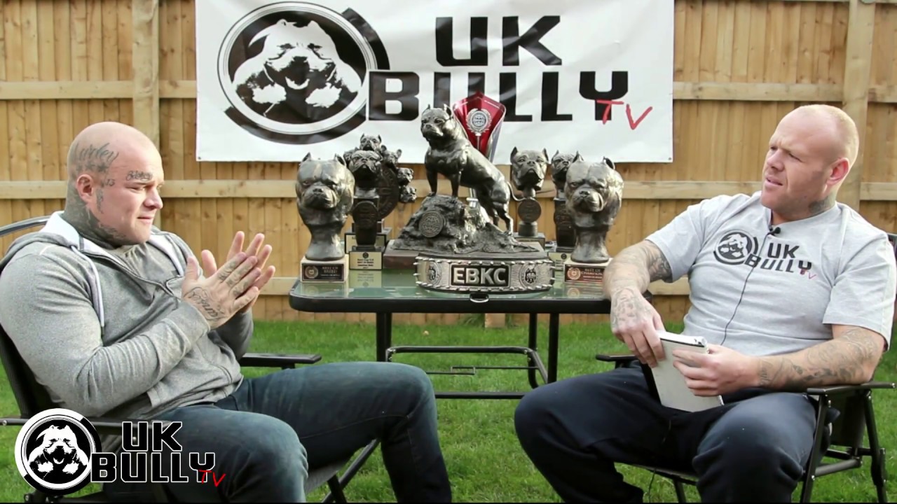UK BULLY TV - Interview with Aaron Lee (Britannia Bullys)