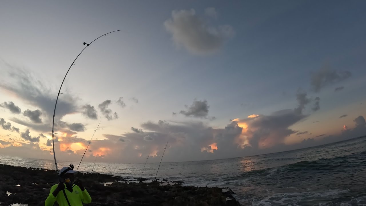 Some Are Just Unstoppable / Troy AkA Fish Whisperer At It Again