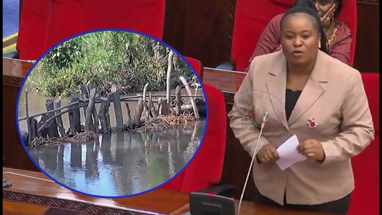 VIDEO: MBUNGE AIDA KENANI ACHACHAMAA "TANATAKA NANI AFE ILI TUPELEKE"