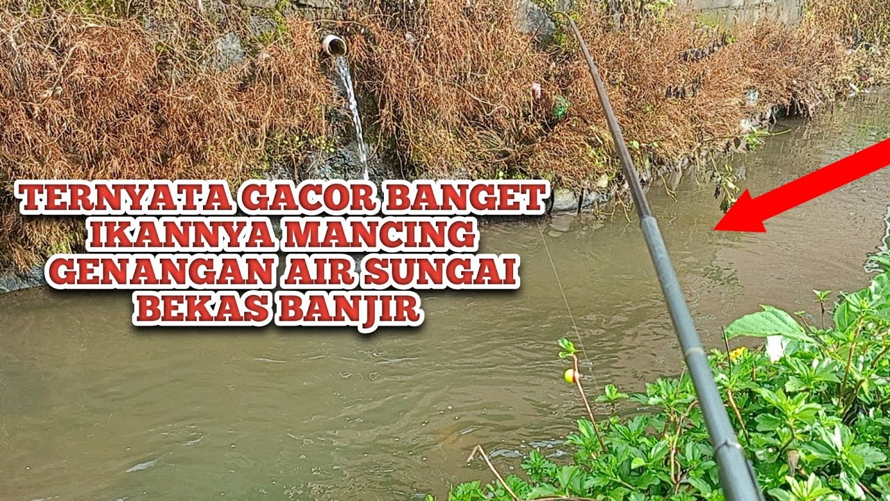 MEMANCING DI GENANGAN AIR BEKAS BANJIR TERNYATA GACOR BANGET IKANNYA ⁉️ SPOT MANCING PALING GACOR 