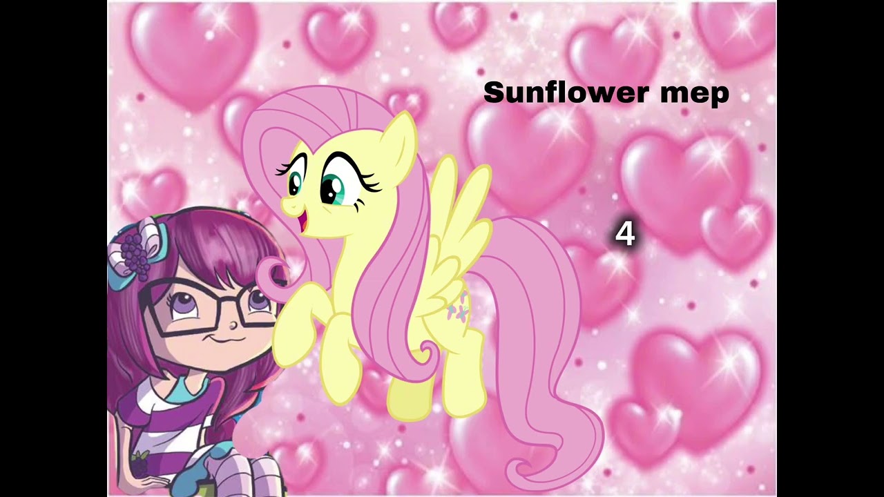 Sunflower mep 
