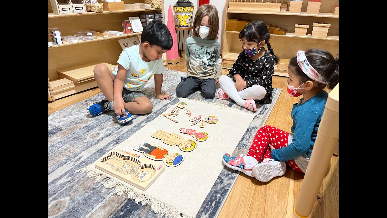 Montessori Human Anatomy for Children
