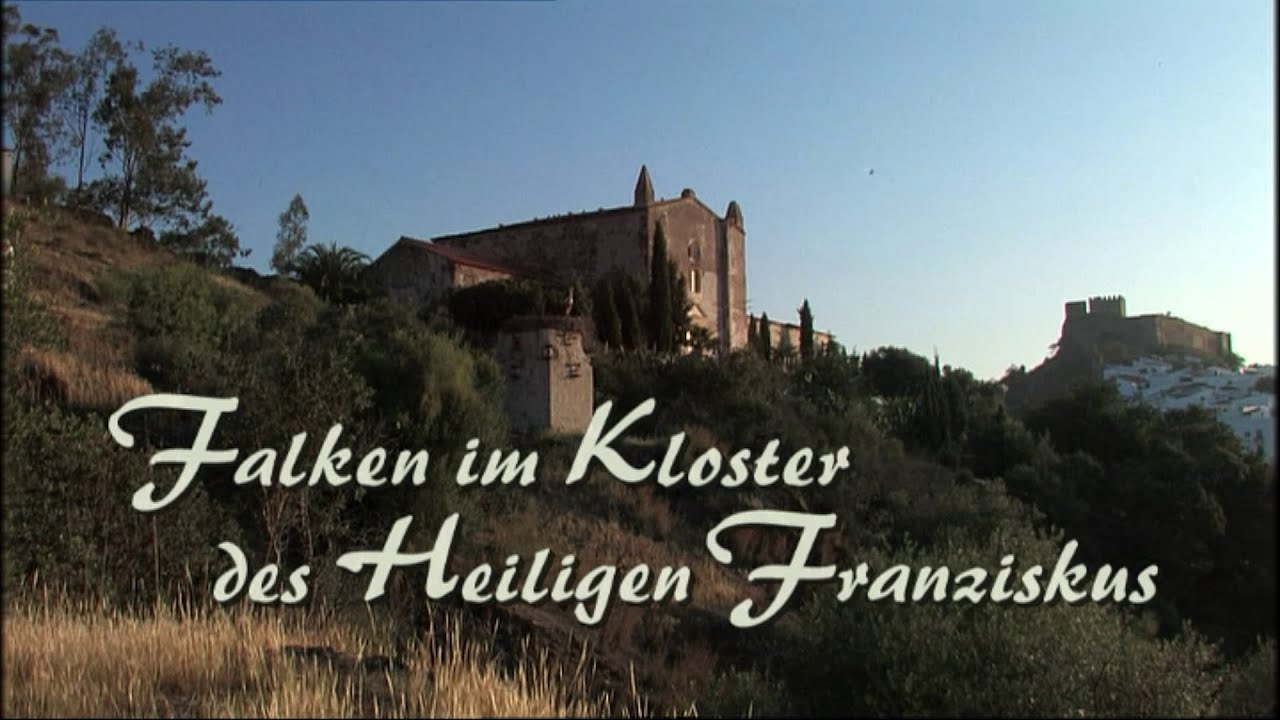 Rötelfalken im Kloster des Heiligen Franziskus