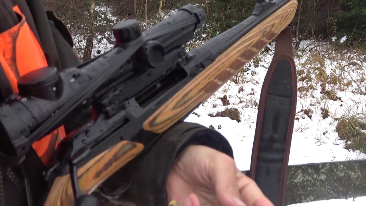 Drückjagd Reinhardswald 2017 - Hessen