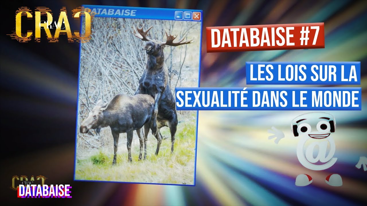 La Databaise Crac Crac #8 x Les lois sur la sexualit&eacute; dans le monde