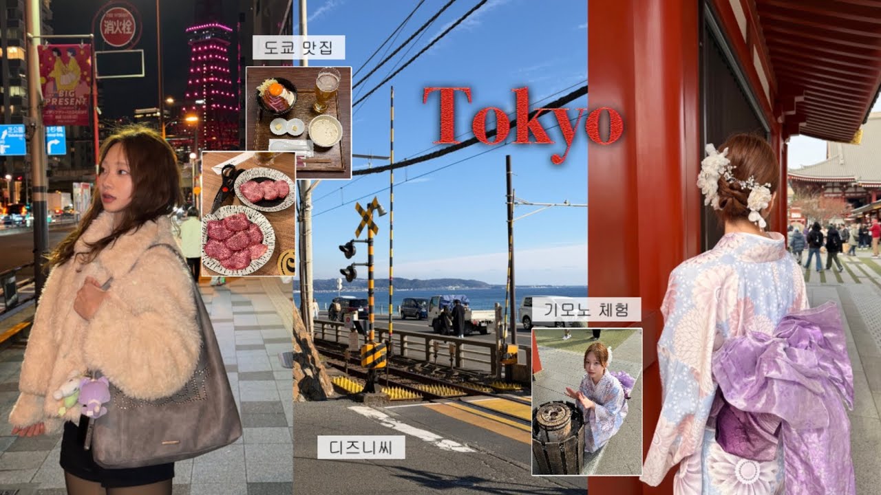 🇯🇵 도쿄 디즈니씨부터 가마쿠라까지🗼꽉 채운 도쿄 3박 4일 여행 | Tokyo vlog
