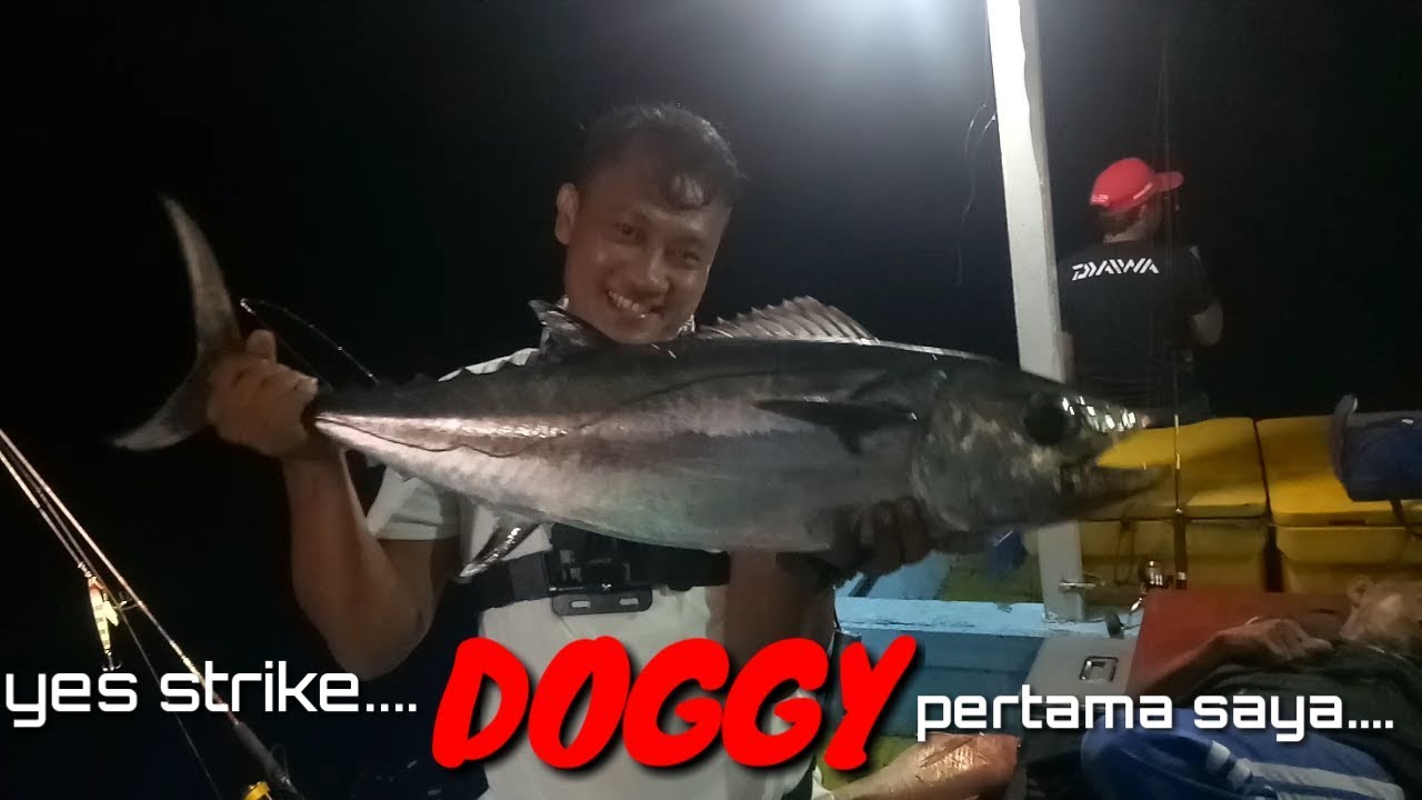 #SMR #seamountreeflampung #SINGALAUT #jigingDOGGY Mancing di SMR dengan Km SINGA LAUT