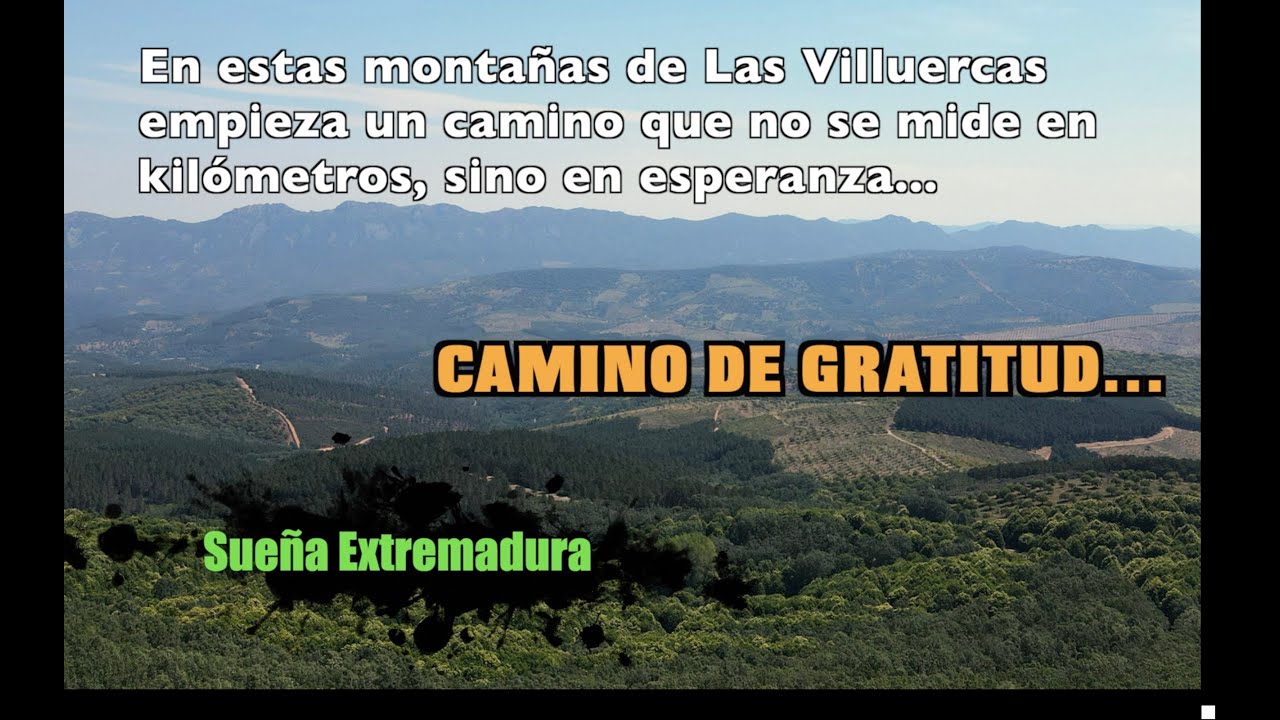CAMINO DE GRATITUD.Guadalupe 
