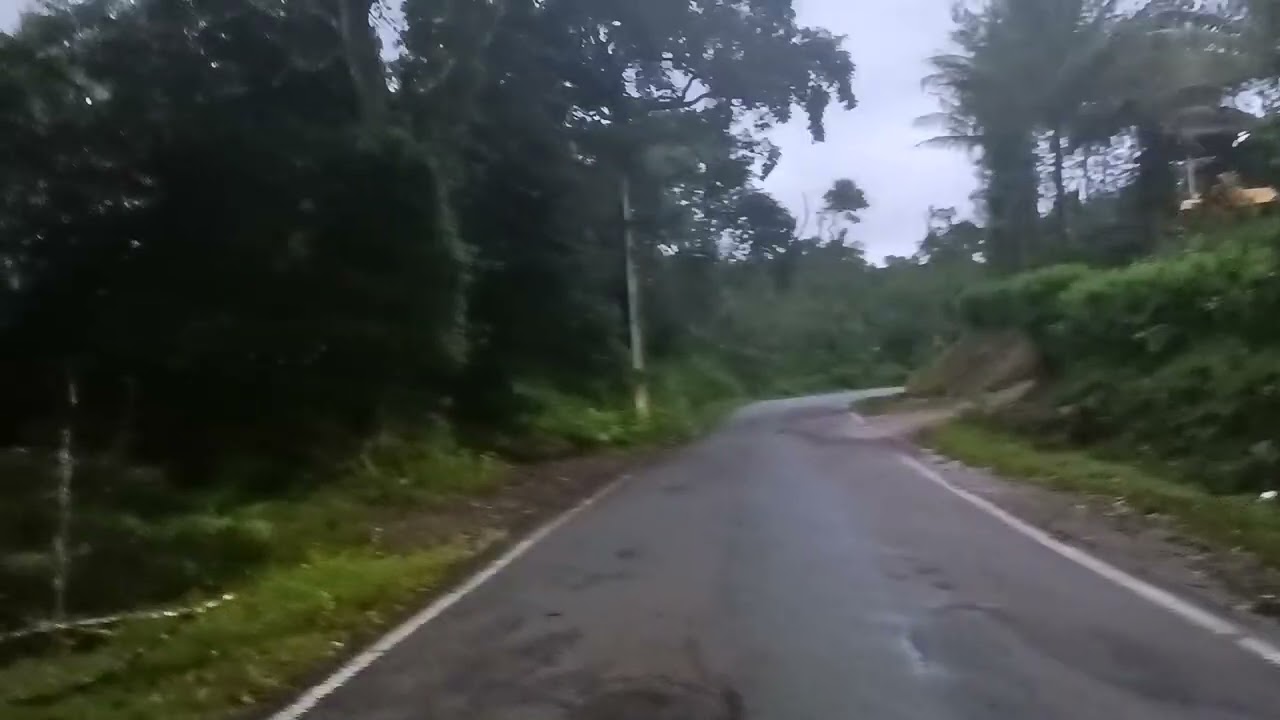 Nagarhole National Park largest Peacock