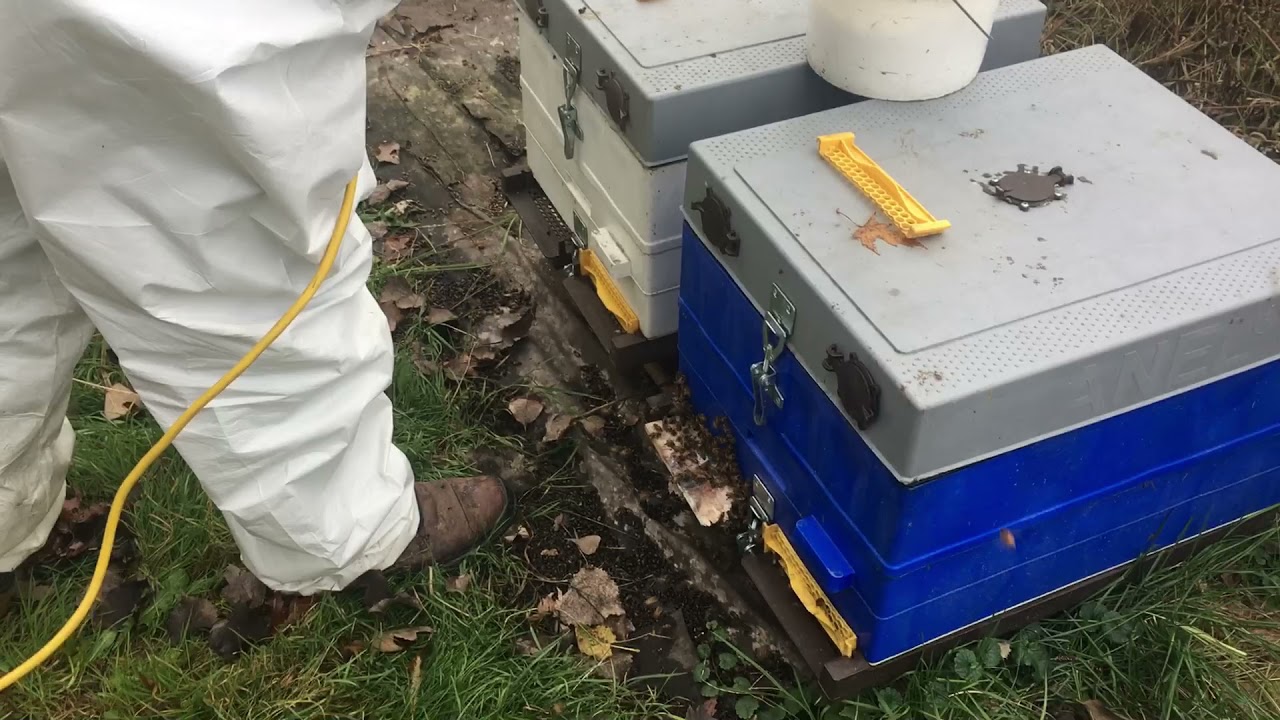 Εξάχνωση οξαλικού - 14 Νοεμβρίου 2021