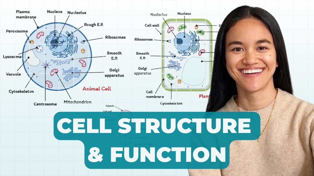 Cell Structure & Function: Bacteria, Animal and Plants
