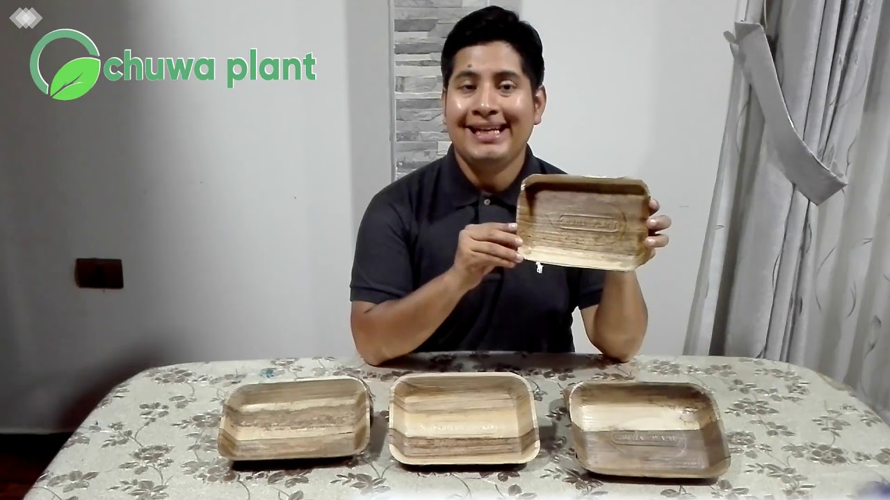 RT - CHUWA PLANT - PLATO DE CORTEZA DE PLATANO