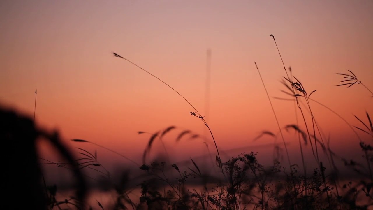 Shayh Salohiddin Rahimahulloh &mdash; Pokiza qonlar  #IslamDagUz #Hijrat #qisqadarslik #Shahidlar