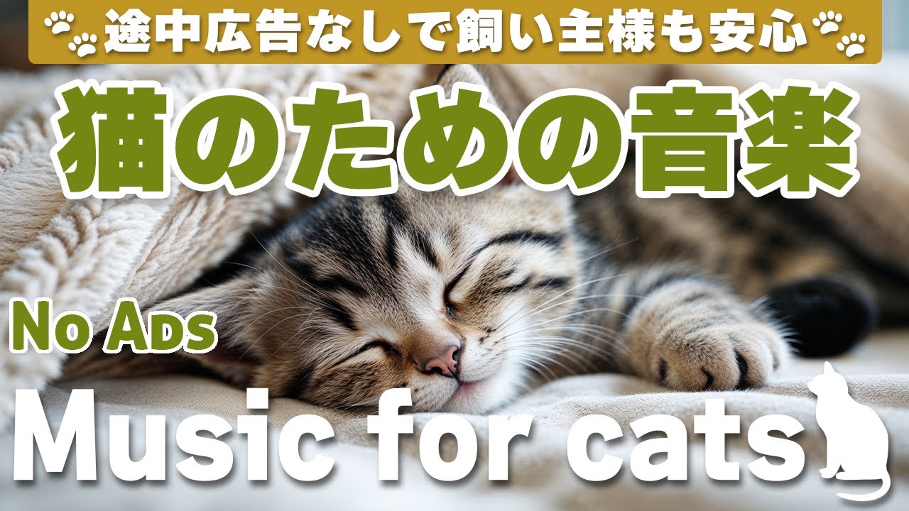 猫が落ち着く音楽 (12時間途中広告なし) /猫をリラックスさせるピアノ音楽 / No Ads/12 hours/piano/Relaxing music for cats_vol.271