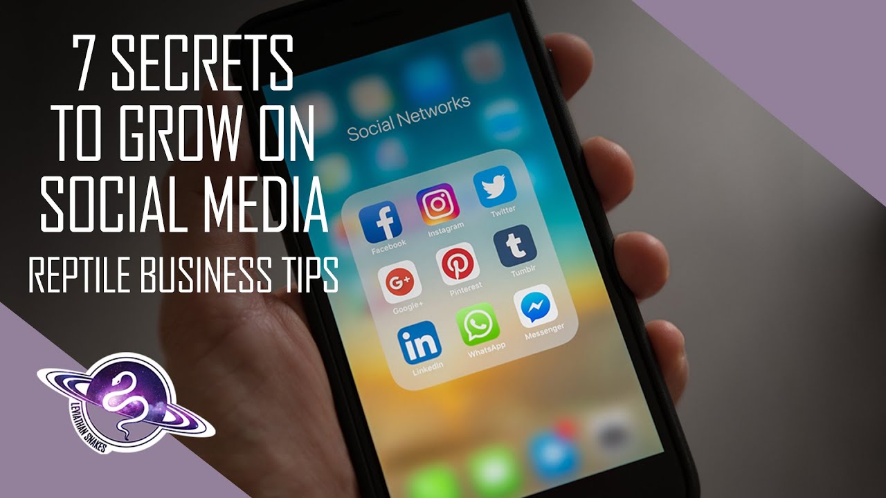 7 In Depth SECRETS to Growing on Social Media | Ball Python Business Tips