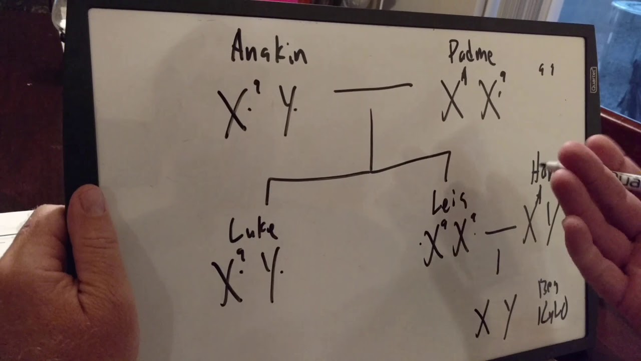 Star Wars / Rey's Parents The Padme Theory