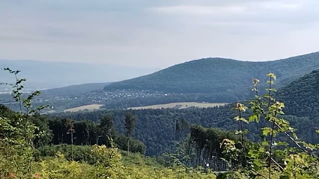 Nová Dubnica - Slimáková a späť (06/2025), cca. 5km