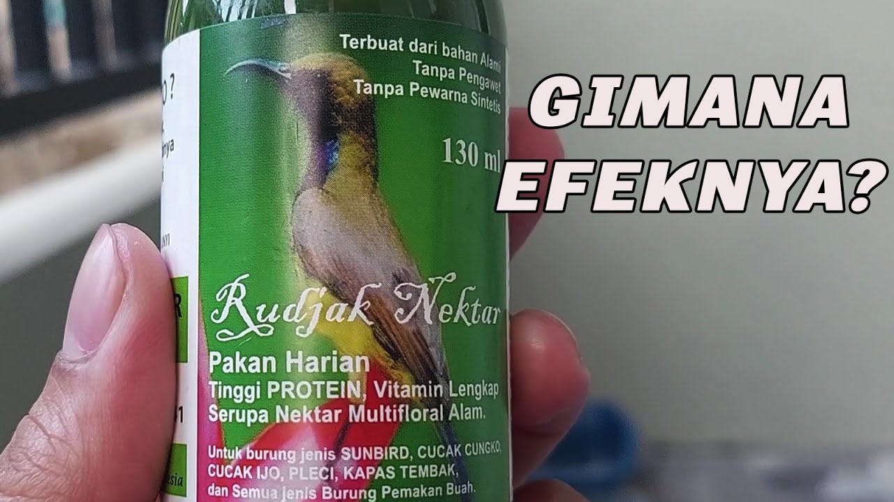 RUJAK NEKTAR SOGON RASA PANDAN?