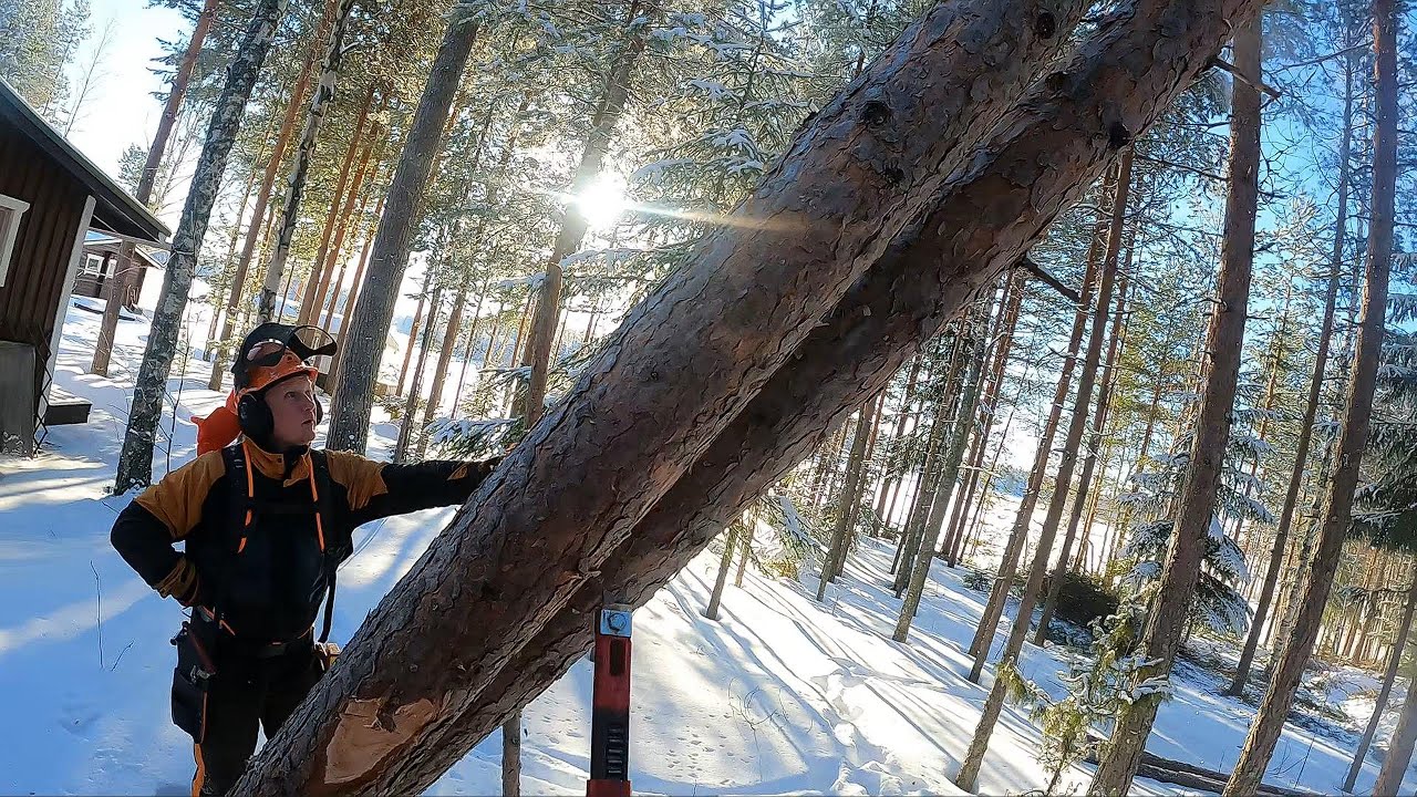 Hyv&auml; Tiimity&ouml; - On kultaakin arvokkaampaa