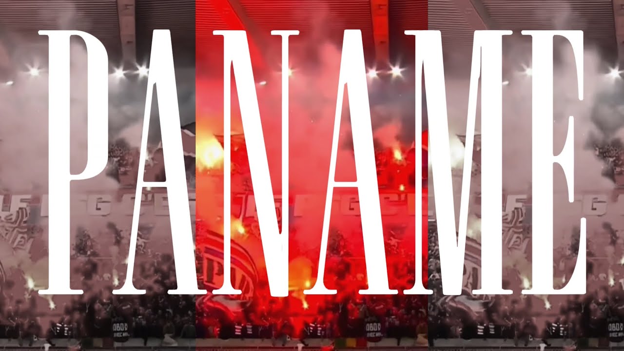 MHDxGloriaGaynor-i will survive (at Munich) [RMX]