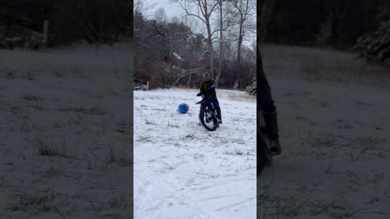 Ultimate All-Terrain! Birch Grolar Hunting Electric Bike