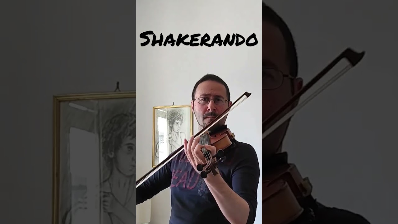 Rhove - Shakerando (violin cover)