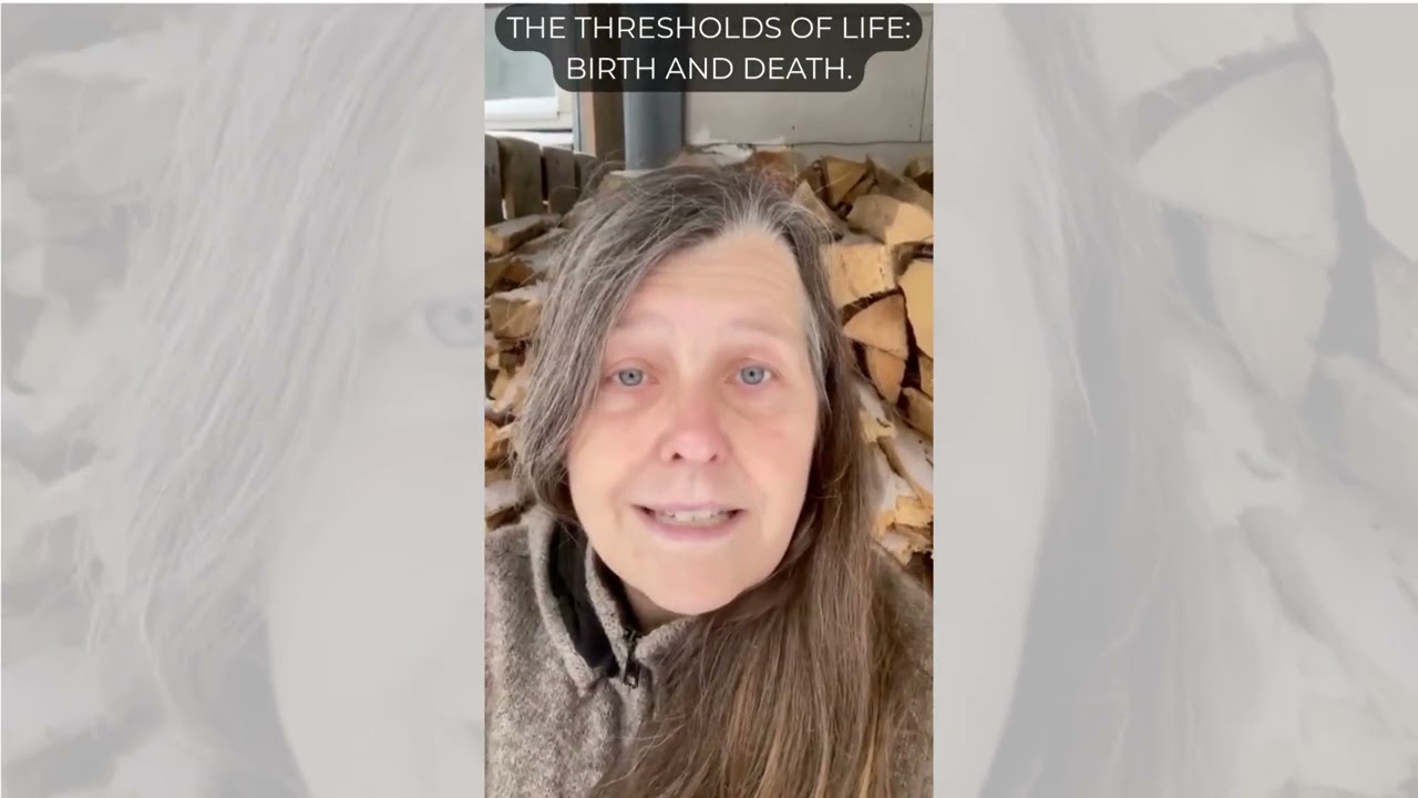 The Industrialization of the Human Soul; The 100-Year Hand-off is over. The Architect has arrived.