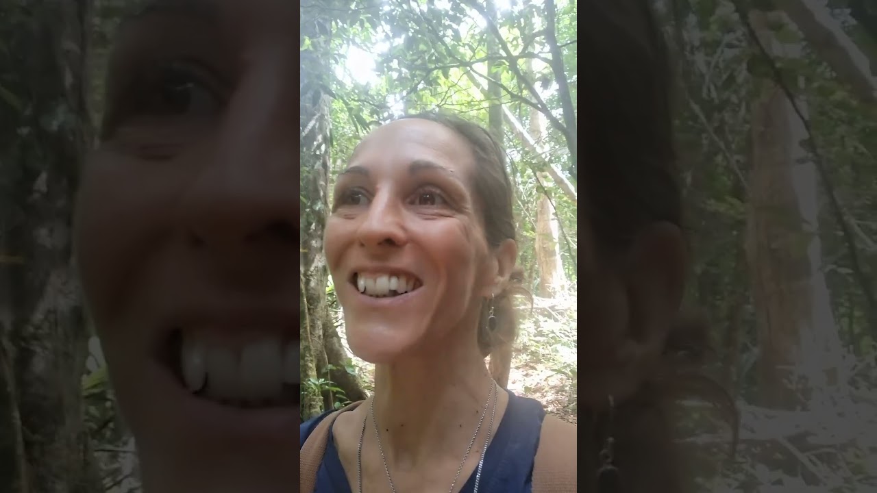 🍃Prêt.e pour une immersion en Forêt Guyanaise? Viens ressentir le vivant avec moi. Partie 1 😊