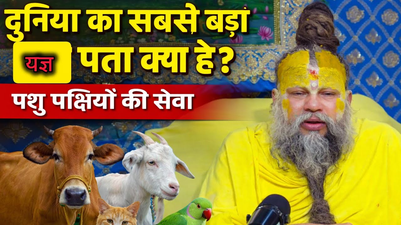 दुनिया का सबसे बड़ा यज्ञ पता क्या है पशु पक्षियों की सेवा 