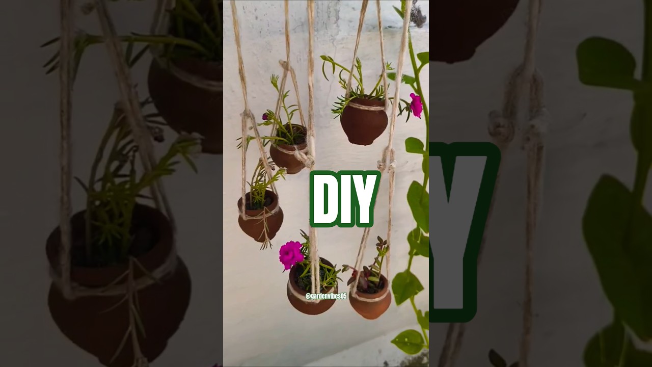 How To Grow Office Time 🌲🌴