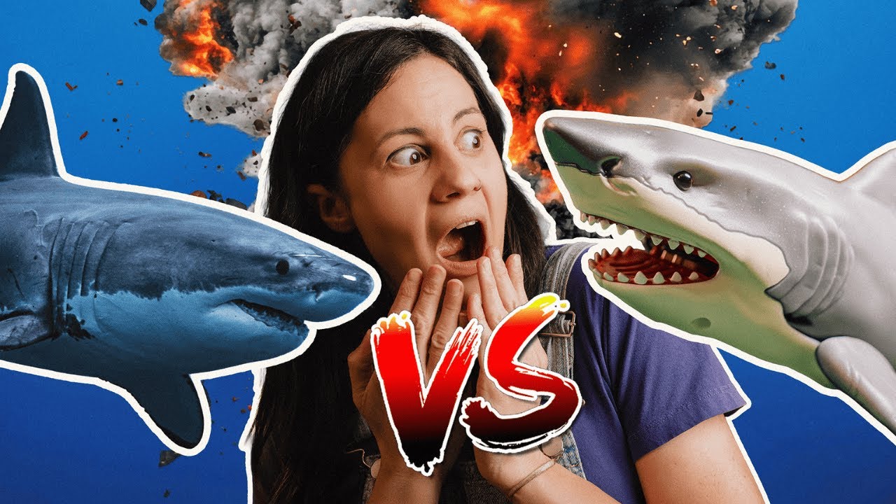 ROBOT Shark VS REAL Shark!