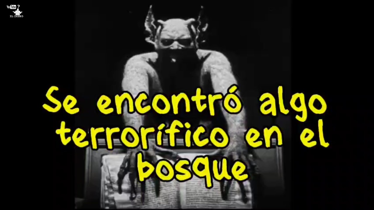 Se encontró con algo terrorífico en una cabaña en el bosque