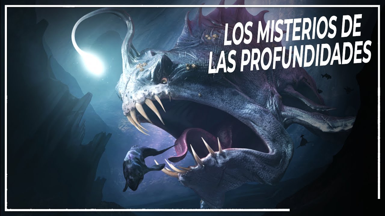 Vida m&aacute;s All&aacute;: Viaje de Extrema Profundidad a los 