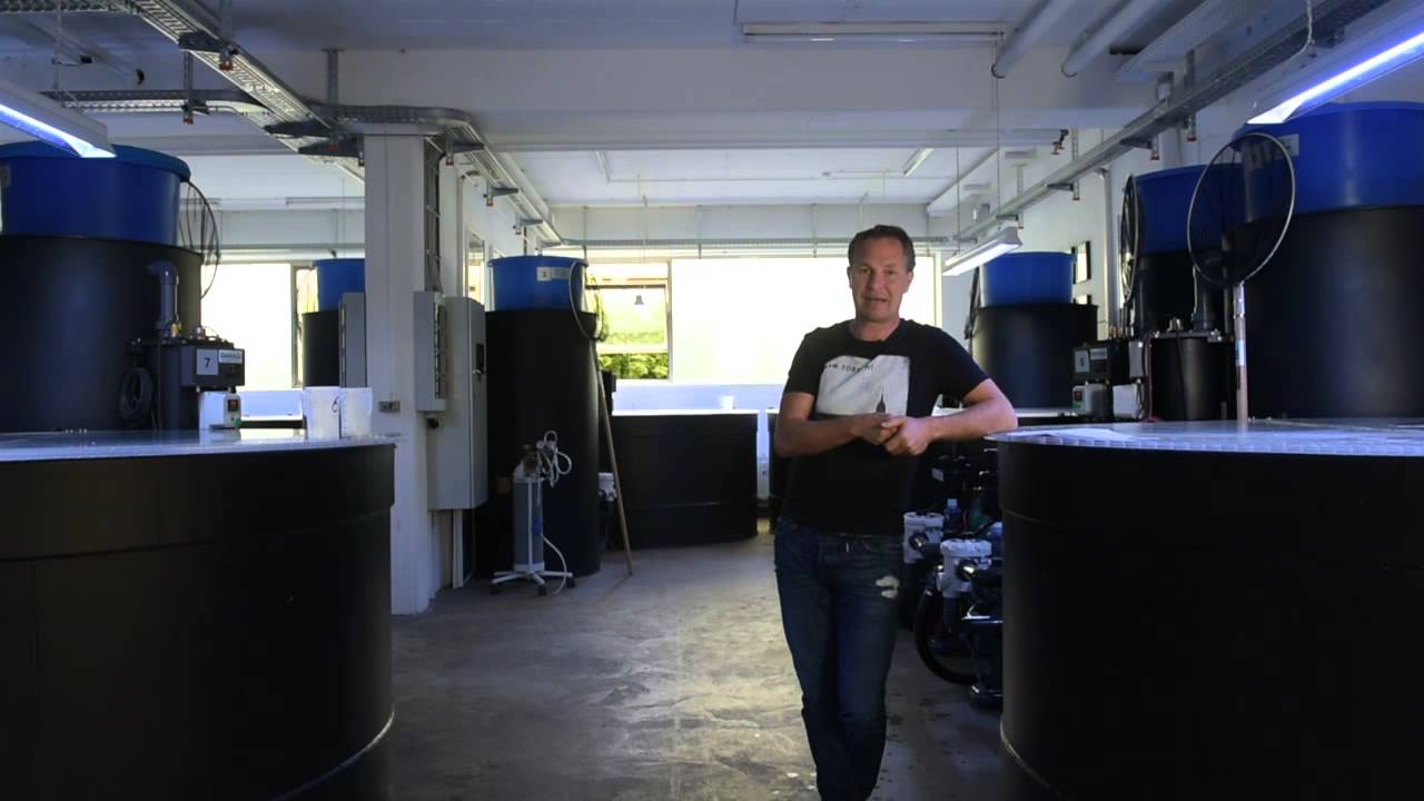 Modern Koi Blog #166 - Wann braucht es wie viel Salz?