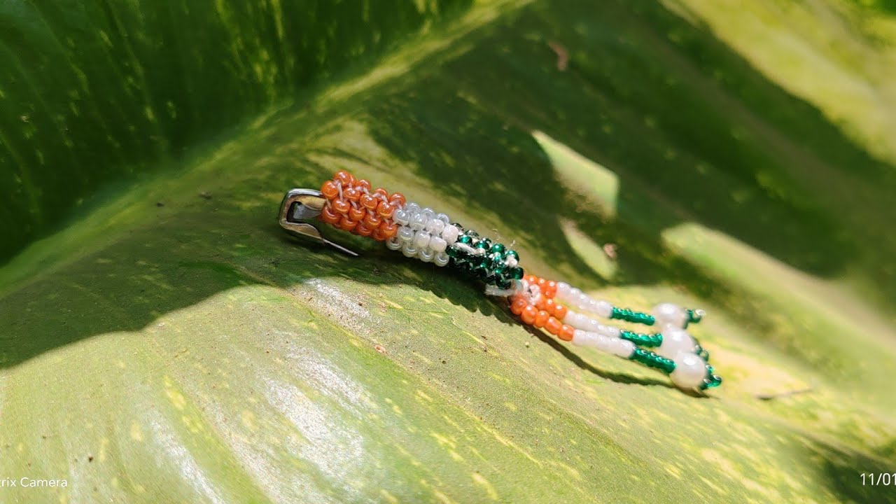 diy idea for republic day 🇮🇳/diy broch pin