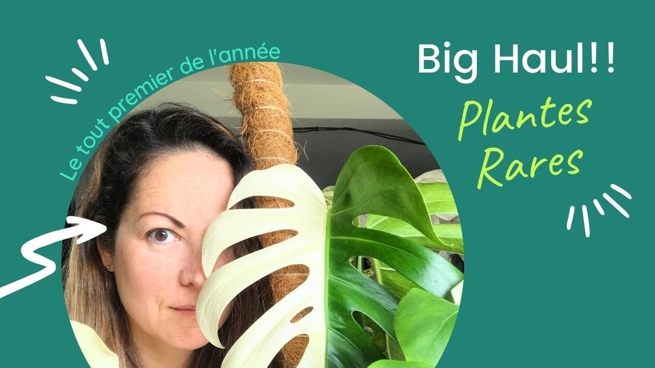 Big Haul !! Le premier de l'année 