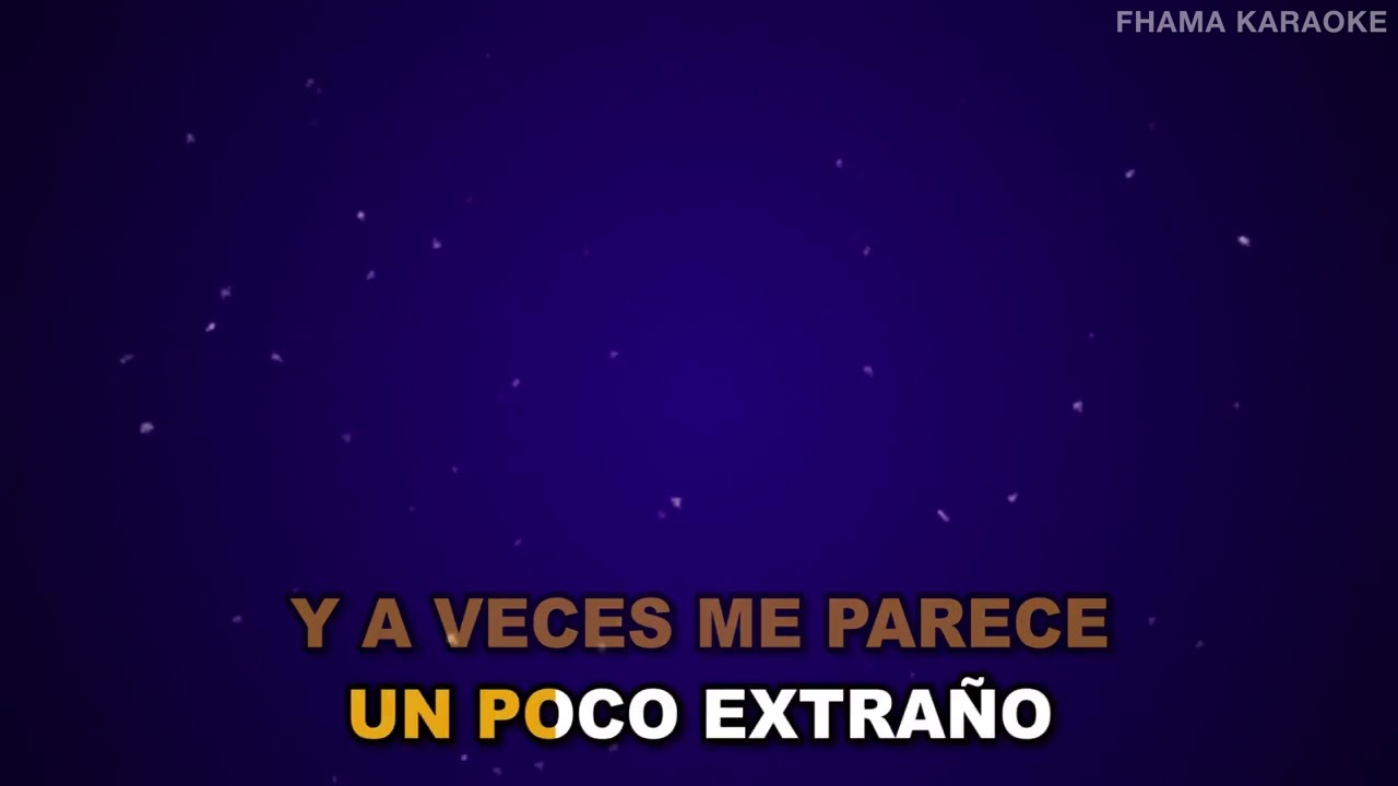Ariztia - A veces Me Parece | FHAMA KARAOKE