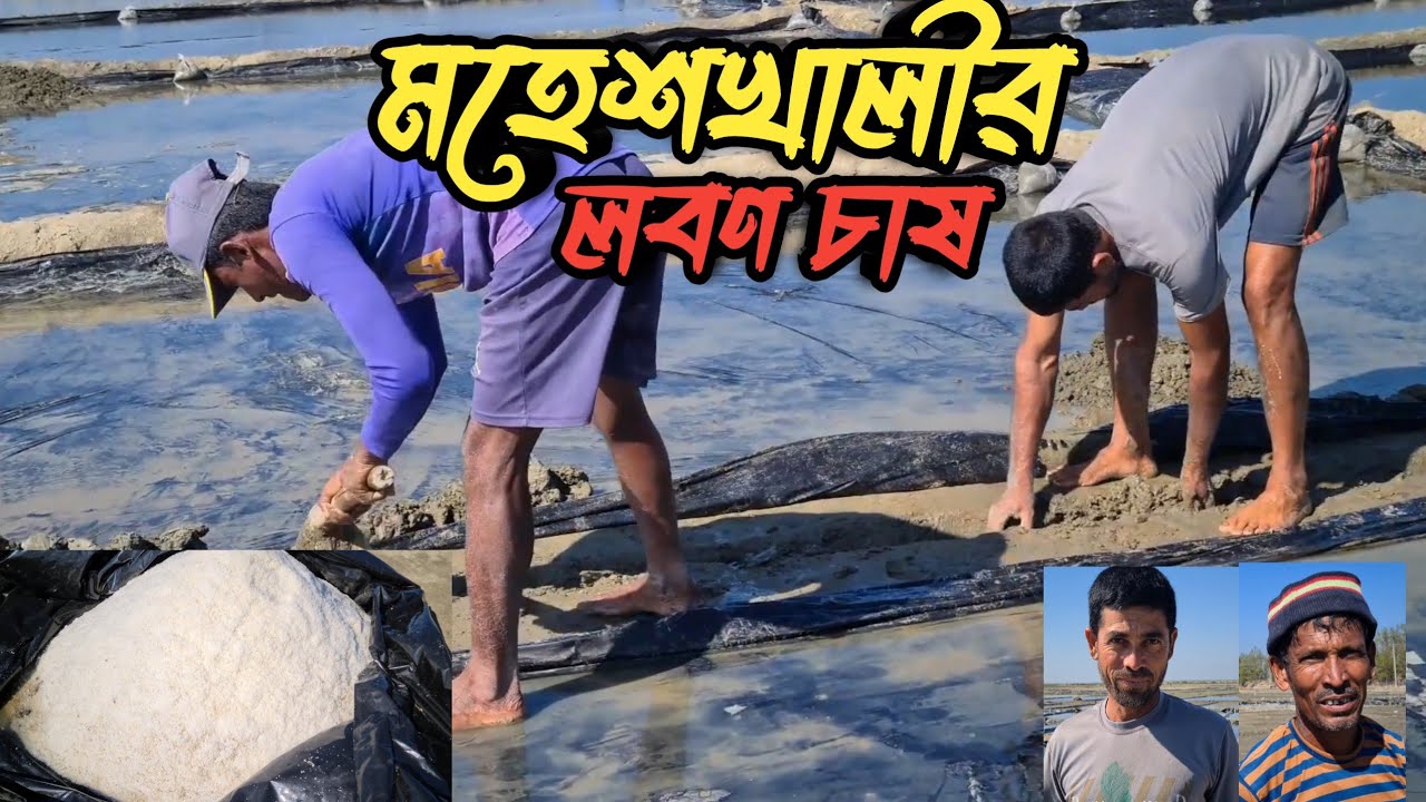 মহেশখালী লবণ চাষ | লবণ চাষ |  cox's bazar | salt cultivation | travel vlog bangla| viral