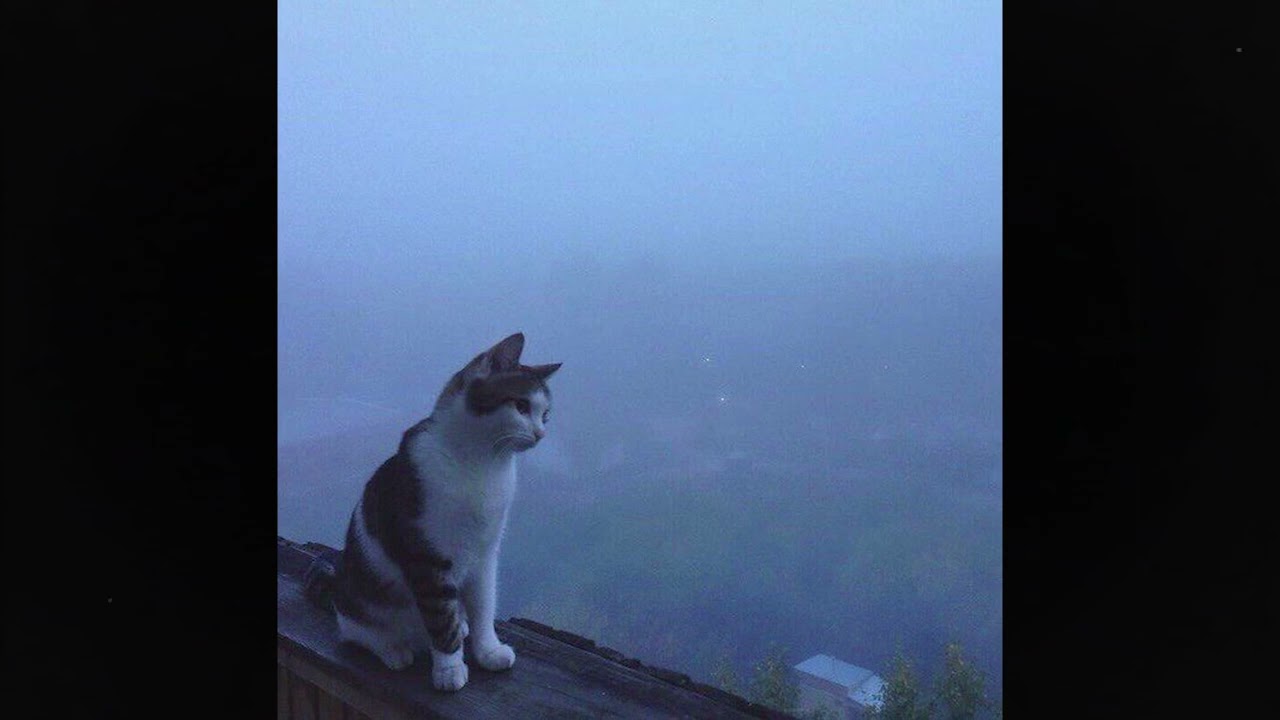 (free) duster + slowcore + shoegaze type beat ~ 
